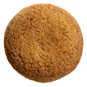 Spice Cookie